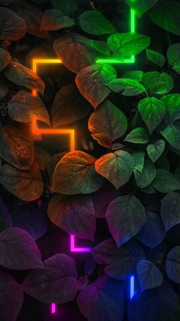 HD-wallpaper-cinematic-colors-dark-leaves-light-nature-neon